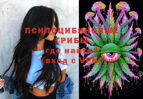 стаф Абинск