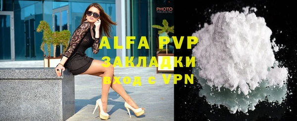 стаф Абинск