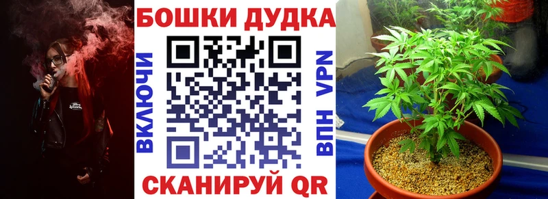 Конопля план  Грайворон 